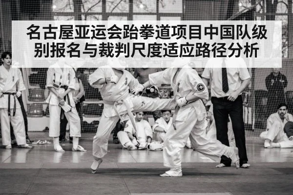 taekwondo competition